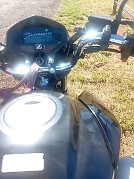 negrim10 online show from March 2026 12:20:01 PM