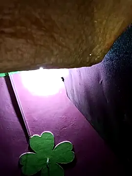 Riyakumari hot66 online show from February 2026 03:19:02 PM