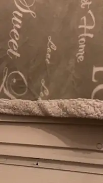 Snapshot of BadyAndShay5 chatting on March 2026 10:46:01 PM BadyAndShay5 online show from March 2026 10:46:01 PM