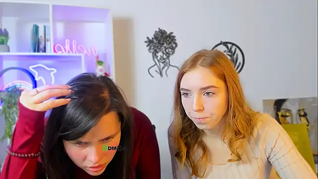 stella flower online show from February 2026 12:34:01 PM