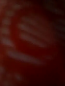 ROMASARKAR online show from March 2026 12:10:02 PM