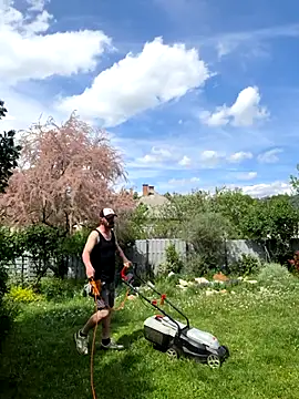    SugarDaddy    online show from May 2026 11:15:01 AM