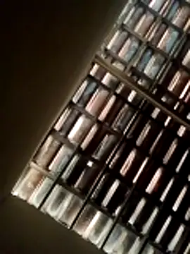 lorraine2036 online show from February 2026 09:52:01 AM