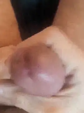 Der Tom 20 online show from February 2026 12:08:01 PM