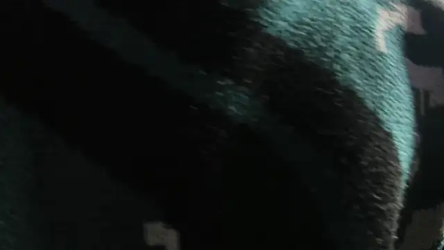 Snapshot of Christopher_Hunter chatting on March 2026 04:27:02 AM Christopher Hunter online show from March 2026 04:27:02 AM