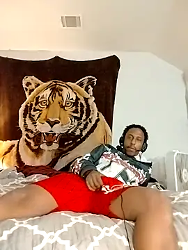 allenray2618 online show from February 2026 05:38:01 AM