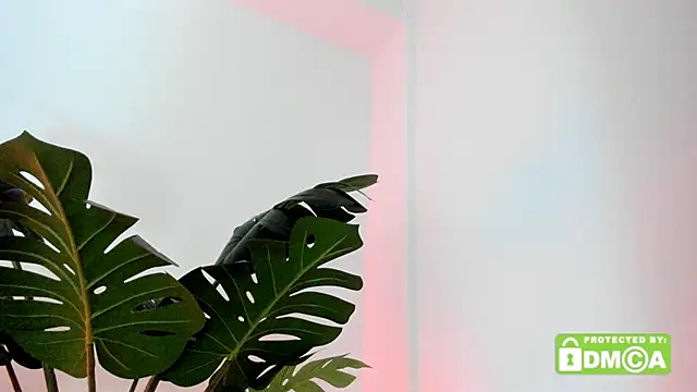 Snapshot of lovesweetash chatting on March 2026 12:53:02 PM lovesweetash online show from March 2026 12:53:02 PM