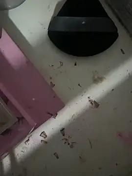 MuMari online show from February 2026 03:26:01 AM