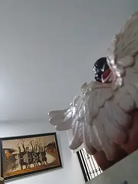 joanmanci1046 online show from February 2026 12:54:02 PM