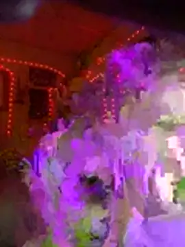 lilred808 online show from February 2026 02:26:01 AM