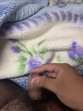 pp-small online show from February 2026 05:11:01 AM