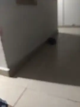 Ghostw77 online show from February 2026 05:03:02 AM