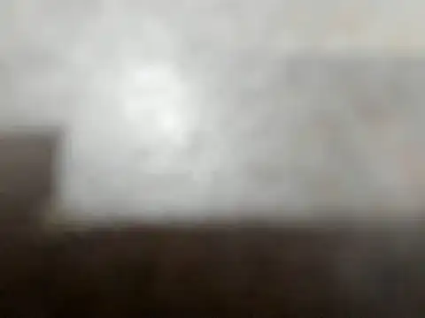camila wood online show from June 2026 02:53:01 AM