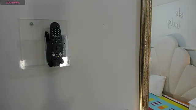 Snapshot of Haileysans chatting on February 2026 11:37:01 AM Haileysans online show from February 2026 11:37:01 AM