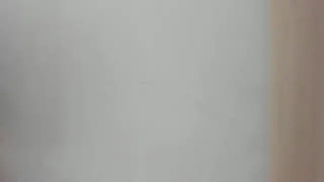 Lucia velez online show from March 2026 03:12:01 AM