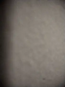 nicol5555 online show from February 2026 10:47:02 PM