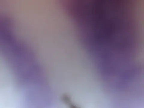 ELIZA 01 online show from February 2026 04:38:02 AM