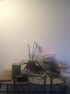 LeonieClaire online show from March 2026 05:18:02 PM