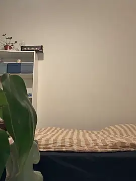 cardibibi online show from February 2026 09:43:01 PM