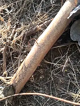 Snapshot of Vinita_cuty chatting on February 2026 04:16:02 AM Vinita cuty online show from February 2026 04:16:02 AM