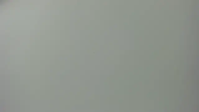 Raven love online show from April 2026 05:18:01 PM