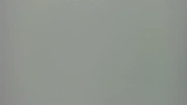 Raven love online show from April 2026 06:25:01 PM