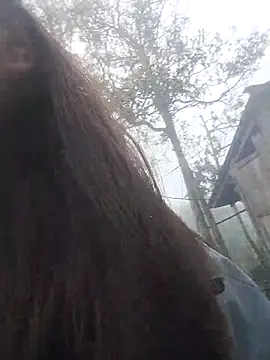 Snapshot of bigdady112 chatting on March 2026 01:47:01 AM bigdady112 online show from March 2026 01:47:01 AM