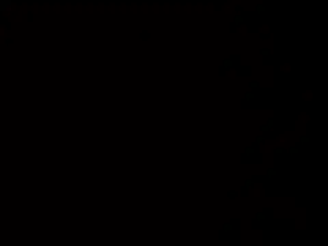 Snapshot of macariocb chatting on May 2026 05:43:02 PM macariocb online show from May 2026 05:43:02 PM