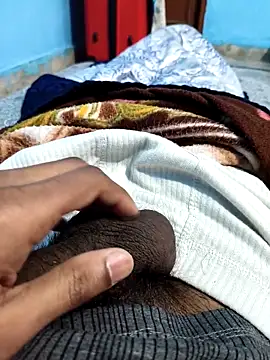 PatelMirzapur online show from February 2026 12:11:01 PM