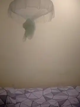 Juniortedcv online show from February 2026 12:04:02 AM