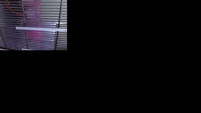 Snapshot of sophi_and_coby chatting on May 2026 05:12:01 AM sophi and coby online show from May 2026 05:12:01 AM