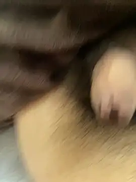 oyuto0831 online show from April 2026 07:17:01 AM