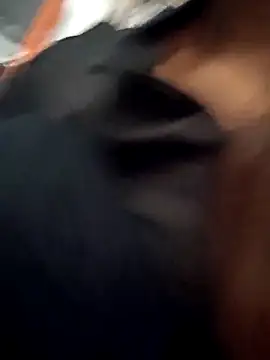 Sweet-runi online show from March 2026 03:03:02 AM