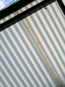 Pau 2007 online show from February 2026 01:04:02 PM