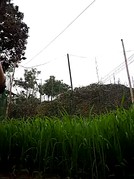 nhynhy11 online show from March 2026 01:54:02 AM