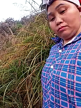 sigmasia online show from March 2026 01:19:01 AM