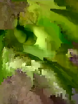 Snapshot of kabylian15 chatting on March 2026 02:39:02 PM kabylian15 online show from March 2026 02:39:02 PM