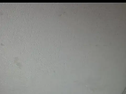 peytonbrunette online show from March 2026 05:22:02 AM