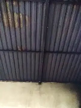 Snapshot of Linka998 chatting on March 2026 03:13:01 AM Linka998 online show from March 2026 03:13:01 AM