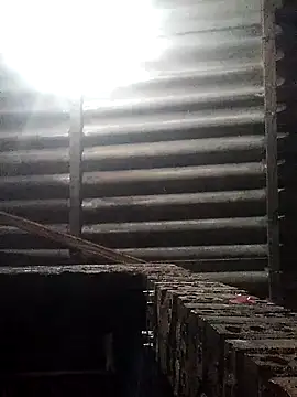 Snapshot of Linka998 chatting on March 2026 12:17:01 AM Linka998 online show from March 2026 12:17:01 AM