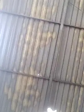 Snapshot of Linka998 chatting on March 2026 04:40:01 AM Linka998 online show from March 2026 04:40:01 AM