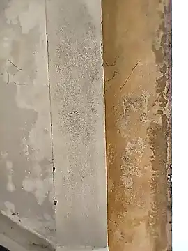 loyalboy 0052 online show from February 2026 09:13:01 AM