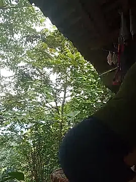 Td3di online show from July 2026 03:00:02 AM