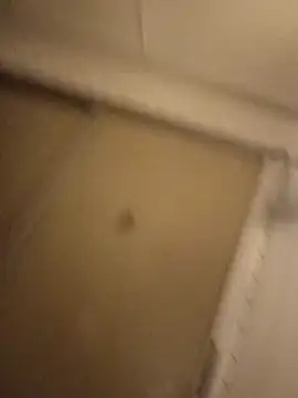 wallyyllaw online show from February 2026 09:45:02 AM