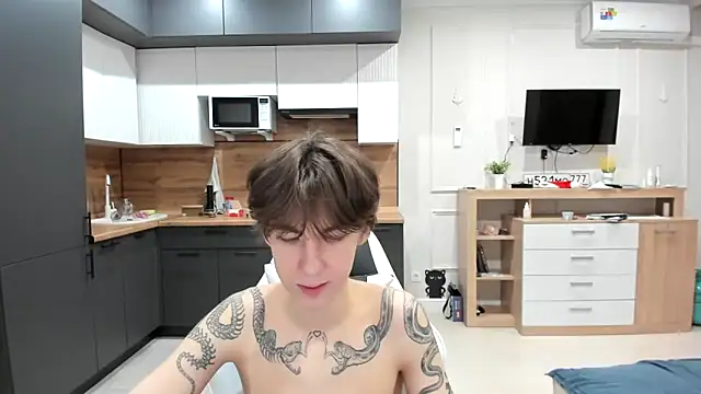 Snapshot of aplant chatting on February 2026 03:31:01 PM aplant online show from February 2026 03:31:01 PM