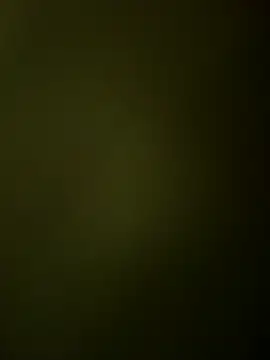 Ranjet01 online show from March 2026 01:07:02 PM