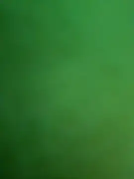 Ranjet01 online show from March 2026 04:54:02 PM