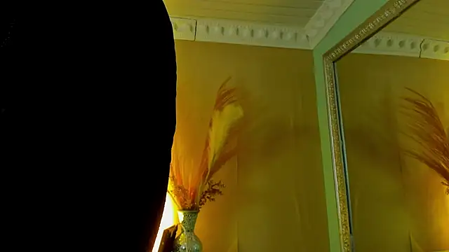 NoaahTylor online show from June 2026 04:17:01 AM