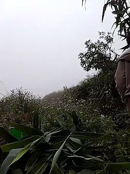 Snapshot of lovely-742 chatting on March 2026 01:57:01 AM lovely-742 online show from March 2026 01:57:01 AM