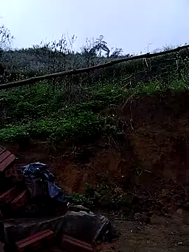 Snapshot of lovely-742 chatting on March 2026 02:07:01 AM lovely-742 online show from March 2026 02:07:01 AM